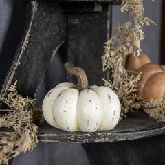 Distressed Cream Tabletop Pumpkin 4.75 Inch