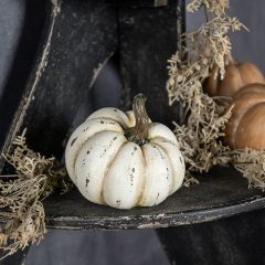 Distressed Cream Tabletop Pumpkin 5.25 Inch