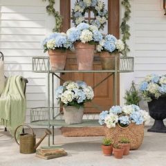 Distressed Green Tiered Plant Stand