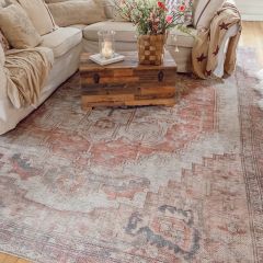 Distressed Hexagon Medallion Area Rug