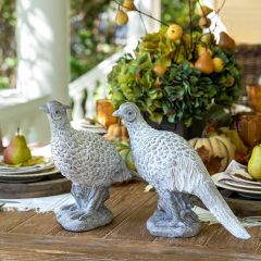 Distressed Quail Figurines Set to 2