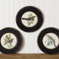 Distressed Round Bird Print Wall Decor Set of 3