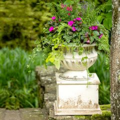 Distressed Venetian Pedestal Urn