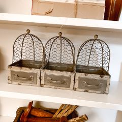 Divided Box With Wire Cloche Trio