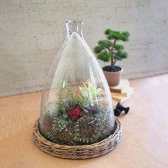 Dome Glass Cloche With Wicker Base