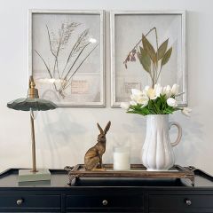 Dried Botanical Framed Wall Decor Set of 6