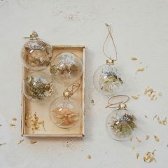 Dried Botanical Glass Ball Ornament Set of 6