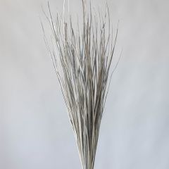Dried Date Palm Leaf Stem Bundle