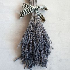 Dried Lavender Bunch