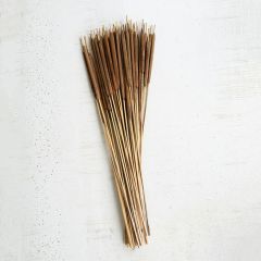 Dried Mini Cattail Bundle