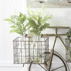 Glass Bottle Vase With Spray Set of 3