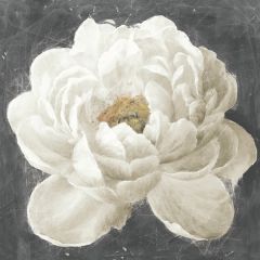 Pale Bloom Wall Art