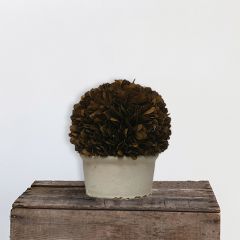 Fall Farmhouse Preserved Boxwood Topiary