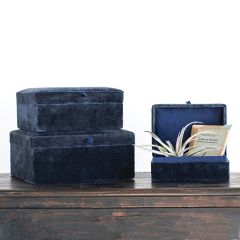 Cotton Velvet Storage Box Set of 3
