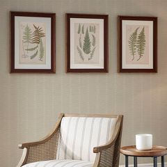 Fern Single Mat Framed Print Set of 3