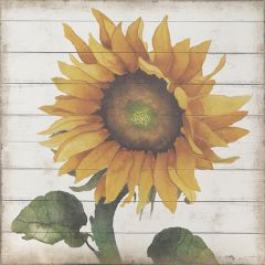 Sunflower Fir Wood Wall Art