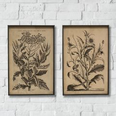 Metal Framed Floral Wall Art Set of 2