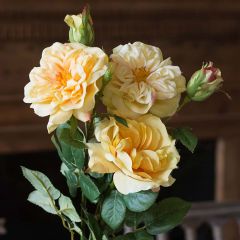 Garden Rose Bundle Yellow Style