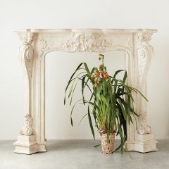 Elegant Carvings Decorative Wood Mantel