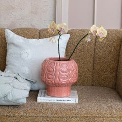 Embossed Terra Cotta Planter