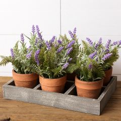 Faux Lavender Pots In Tray