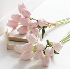 Pretty Pale Tulip Bundle Set of 2