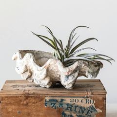 Magnesia Shell Decor