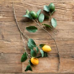 Faux Citrus Branch Set of 2