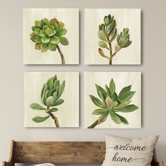 Front Yard Succulent Canvas Art