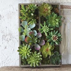 Succulent Wall Planter Box