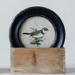 Round Framed Bird Wall Decor Set of 4