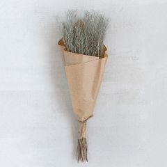 Dried Flixweed Bunch