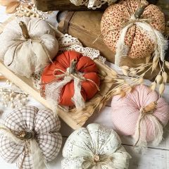 Fabric Pumpkin with Real Stem Bowl Filler