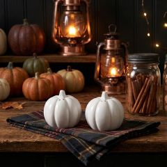 Fall Farmhouse Pumpkin Salt and Pepper Shaker Set