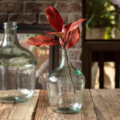 Fall Paprika Magnolia Pick Set of 4