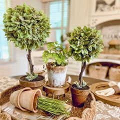 Faux Boxwood Potted Topiary Set of 2