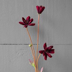 Faux Chocolate Cosmos Stem