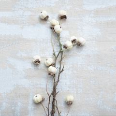 Faux Cream Pumpkin Stem