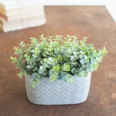 Faux Eucalyptus In Herringbone Cement Pot