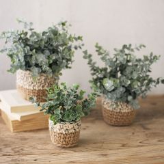 Faux Eucalyptus Plant In Woven Pot Set of 3