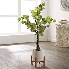 Faux Eucalyptus Tree In White Pot