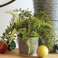 Faux Fern in Metal Pot