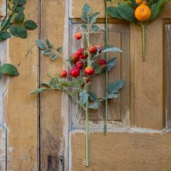 Faux Gourmet Tomato Stem
