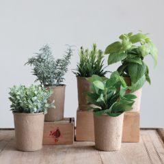 Faux Greenery In Paper Pot Set of 5