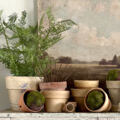 Faux Maidenhair Fern In Pot