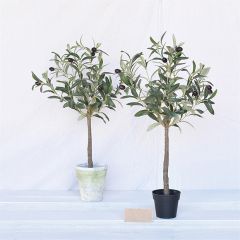 Faux Olive Tree In Black Pot