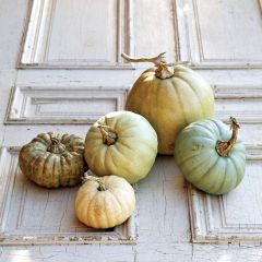 Faux Pumpkins Set of 5