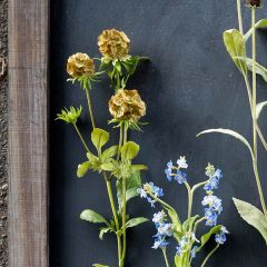 Faux Scabiosa Flower Stem