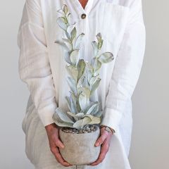 Faux Succulent With Cement Pot