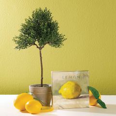 Faux Tea Tree Topiary Set of 3